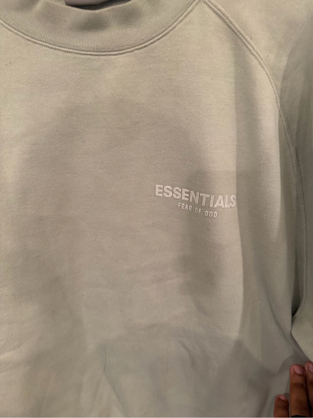 Essentials Crewneck Sweatshirt in Sage Green